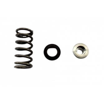 Kit ressorts soupapes +...