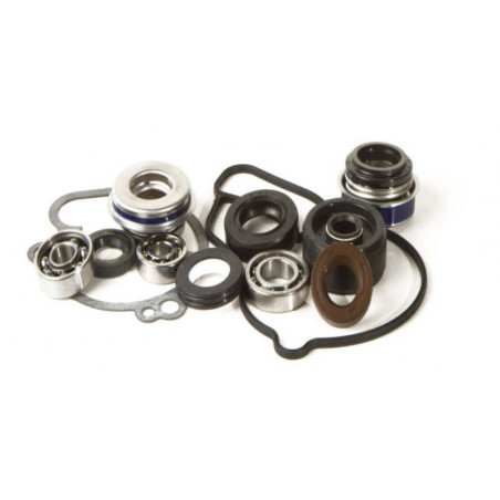 Kit réparation pompe à eau pour 450 TRXR.