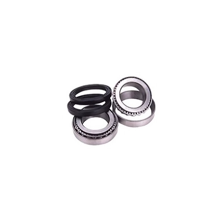 Kit roulements coniques + joints spi pour TRX 450R