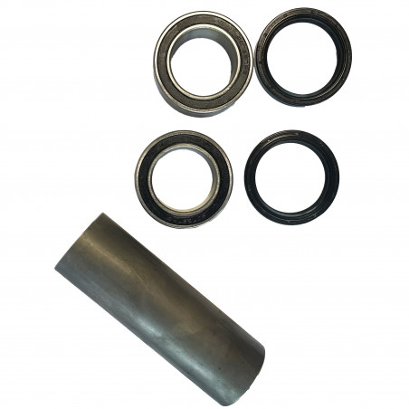 Kit roulements excentrique Lonestar pour 450 YFZR