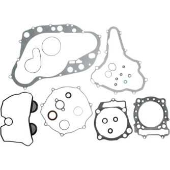 Complete engine gasket & oil seal kit for 450 LTR