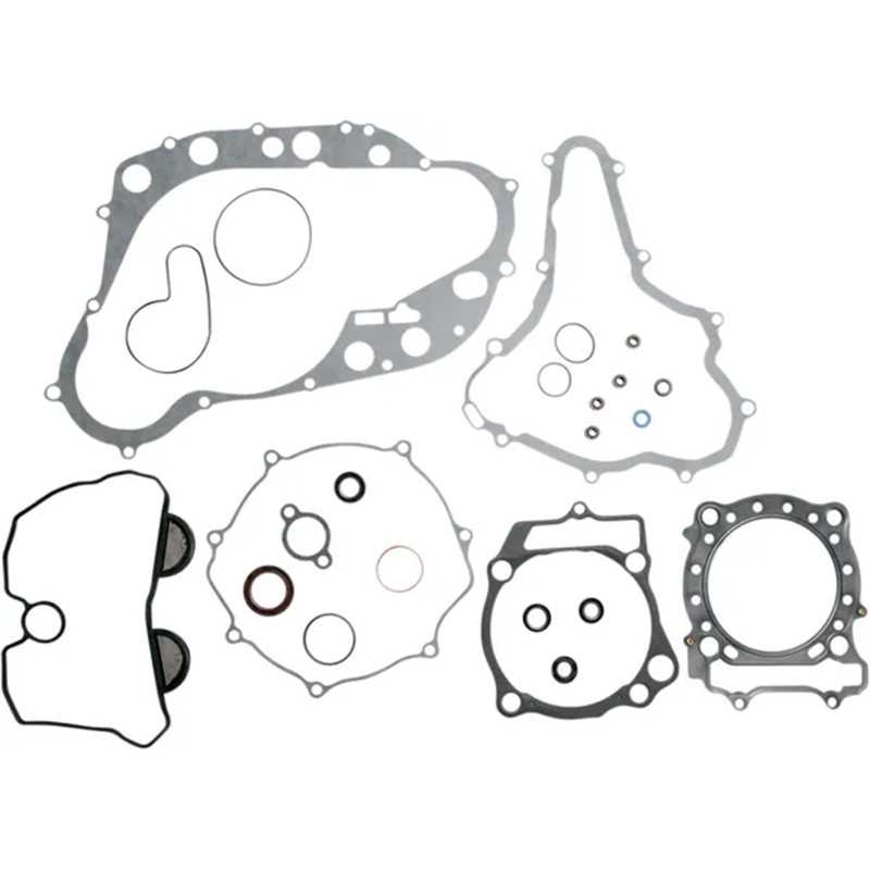 Complete engine gasket & oil seal kit for 450 LTR