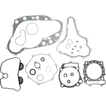 Complete engine gasket & oil seal kit for 450 LTR