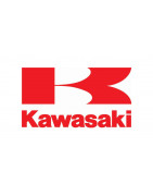 Kawasaki