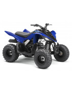 90 Raptor