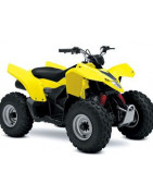 LTZ 250