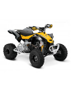 DS 450