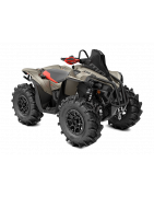 Renegade