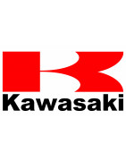 Kawasaki