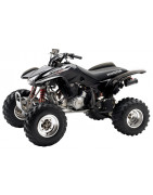 TRX 400 EX