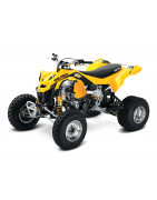 DS 450